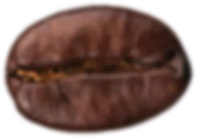 Picture of a Coffee Bean - 1