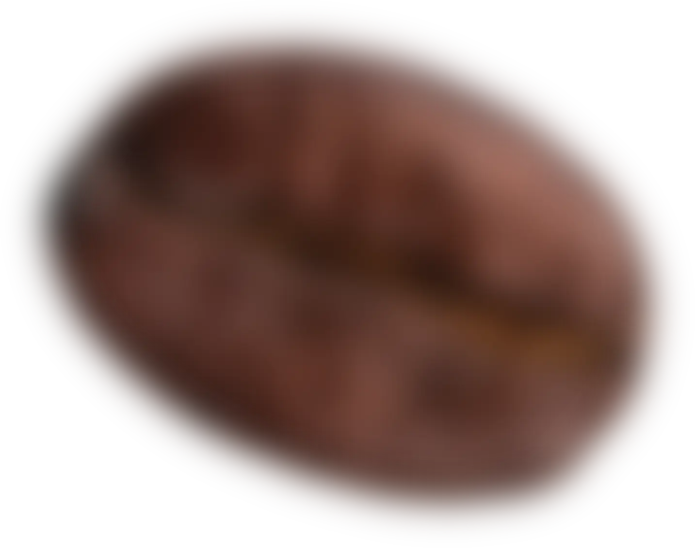 Picture of a Coffee Bean - 4